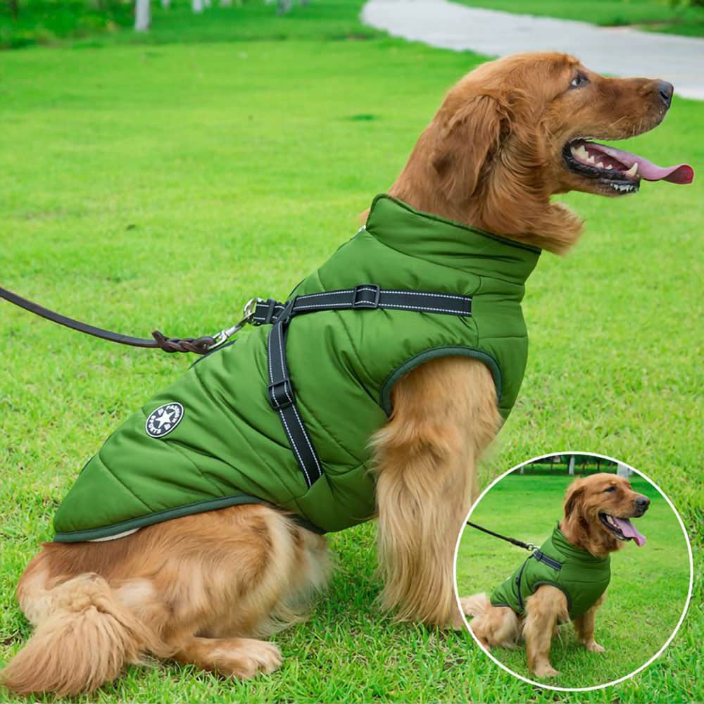 PupTrend™ DualShield hondenjas met harnas
