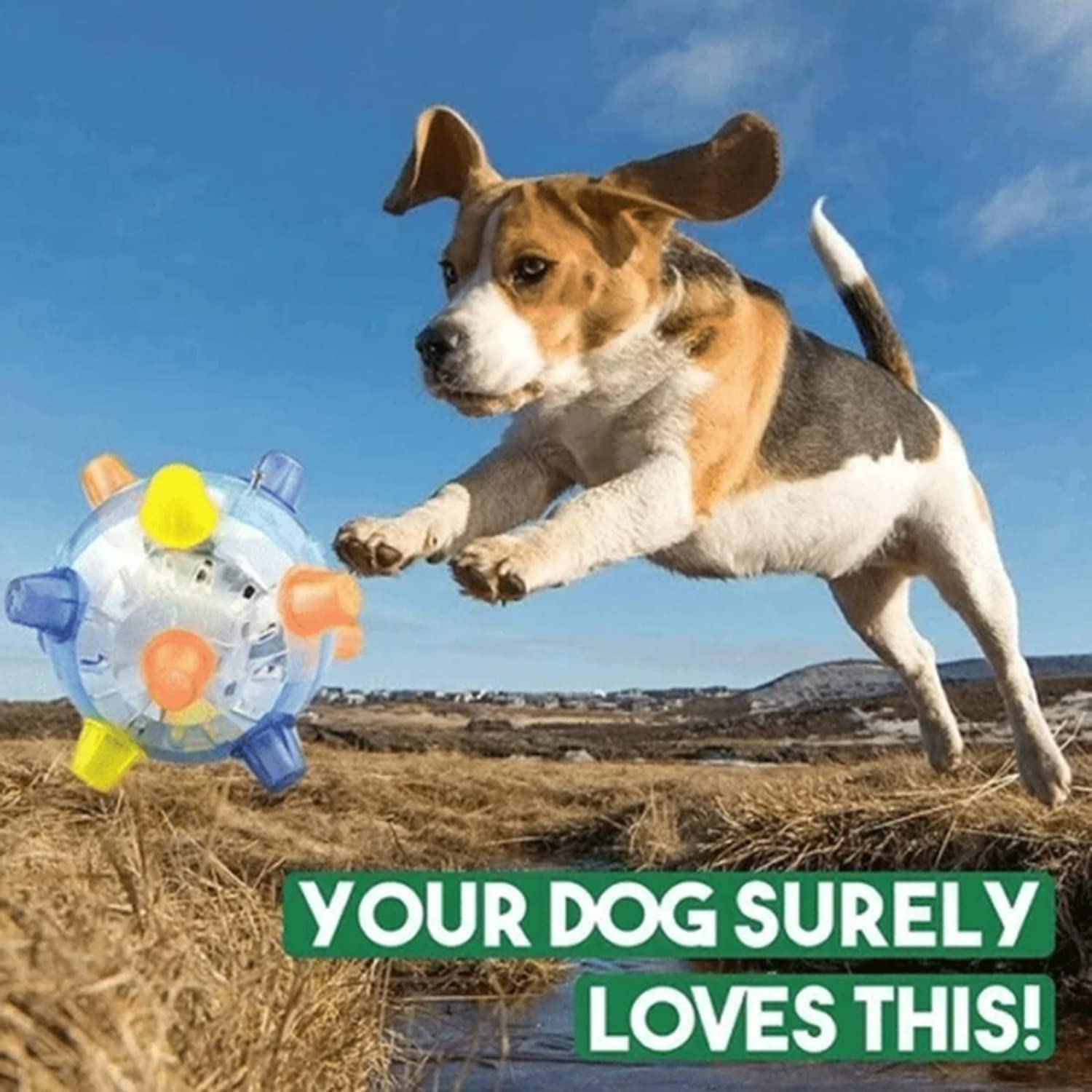 BouncyKid™ - Springactiveringsbal voor Honden en Katten | Vandaag 1+1 Gratis
