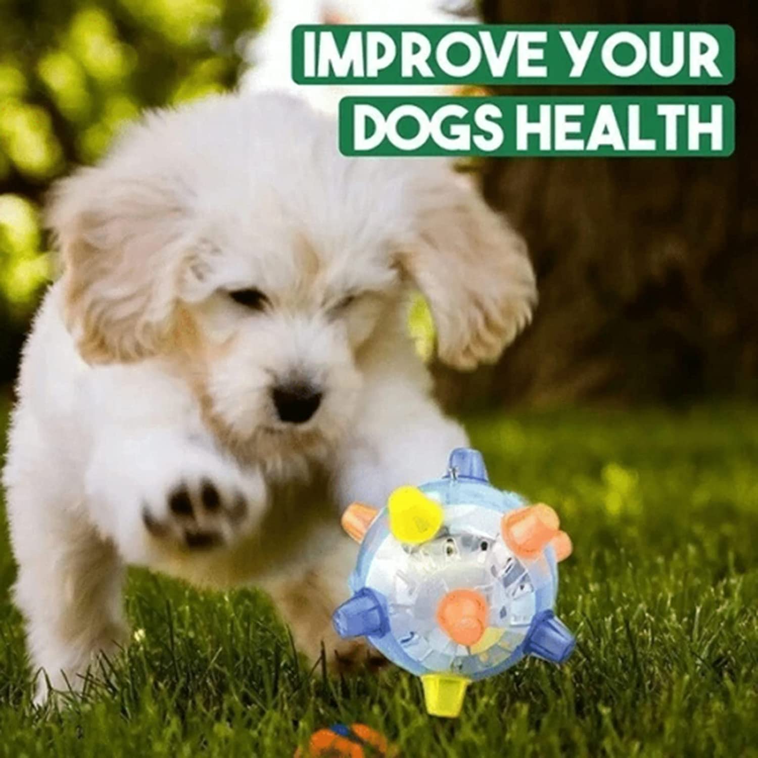 BouncyKid™ - Springactiveringsbal voor Honden en Katten | Vandaag 1+1 Gratis